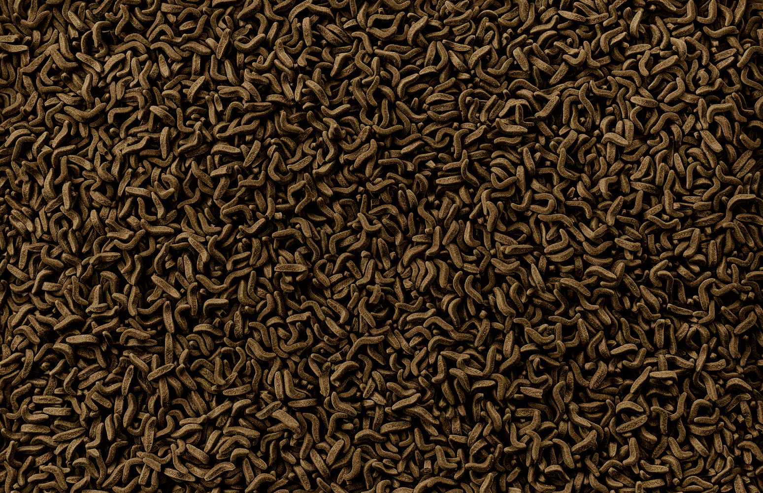 Tetra ReptoMin 270gms/ 1L - Image 3